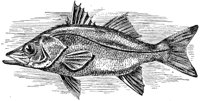 AAD50478.JPG