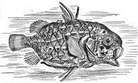 AAD50476.JPG