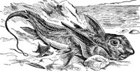 AAD50475.JPG