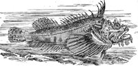 AAD50472.JPG