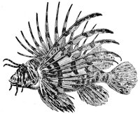 AAD50471.JPG