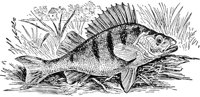 AAD50470.JPG