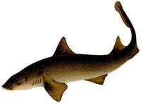 AAD50458.JPG