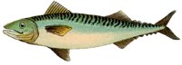 AAD50453.JPG