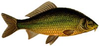 AAD50452.JPG