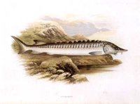 AAD50439.JPG