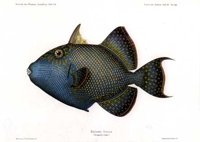 AAD50433.JPG