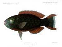 AAD50432.JPG