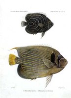 AAD50430.JPG