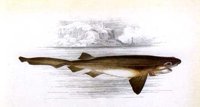 AAD50423.JPG