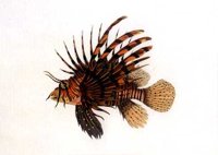 AAD50408.JPG