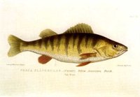 AAD50407.JPG