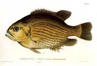 AAD50406.JPG