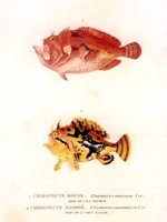 AAD50401.JPG