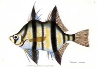 AAD50397.JPG