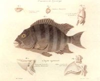 AAD50376.JPG