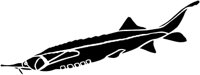 AAD50271.TIF