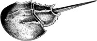 AAD50270.TIF
