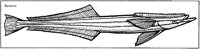AAD50238.TIF