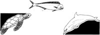 AAD50227.TIF