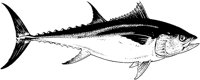 AAD50214.TIF