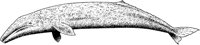 AAD50213.TIF
