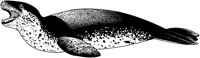 AAD50203.TIF