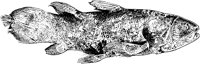 AAD50199.TIF
