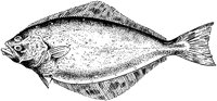 AAD50198.TIF