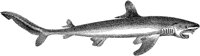 AAD50171.TIF