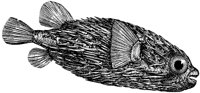 AAD50138.TIF