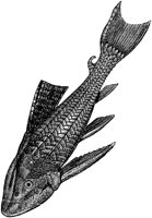 AAD50083.TIF