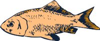 AAD00219.WMF