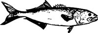 AAD00208.WMF