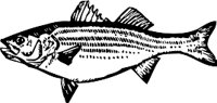 AAD00207.WMF