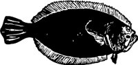 AAD00206.WMF