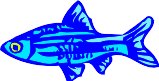 AAD00198.WMF
