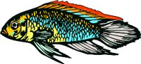 AAD00074.WMF