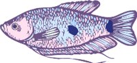 AAD00071.WMF