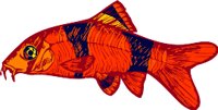 AAD00068.WMF