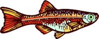AAD00061.WMF