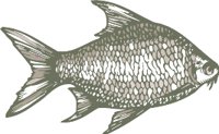 AAD00056.WMF