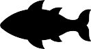 AAD00041.WMF