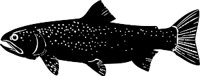 AAD00039.WMF