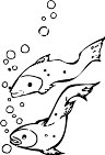 AAD00035.WMF