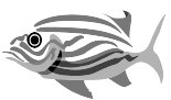 AAD00023.WMF