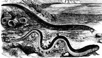 AAC50051.JPG