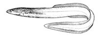 AAC50043.JPG