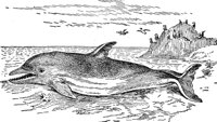 AAB50045.JPG