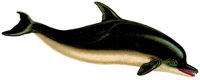 AAB50043.JPG